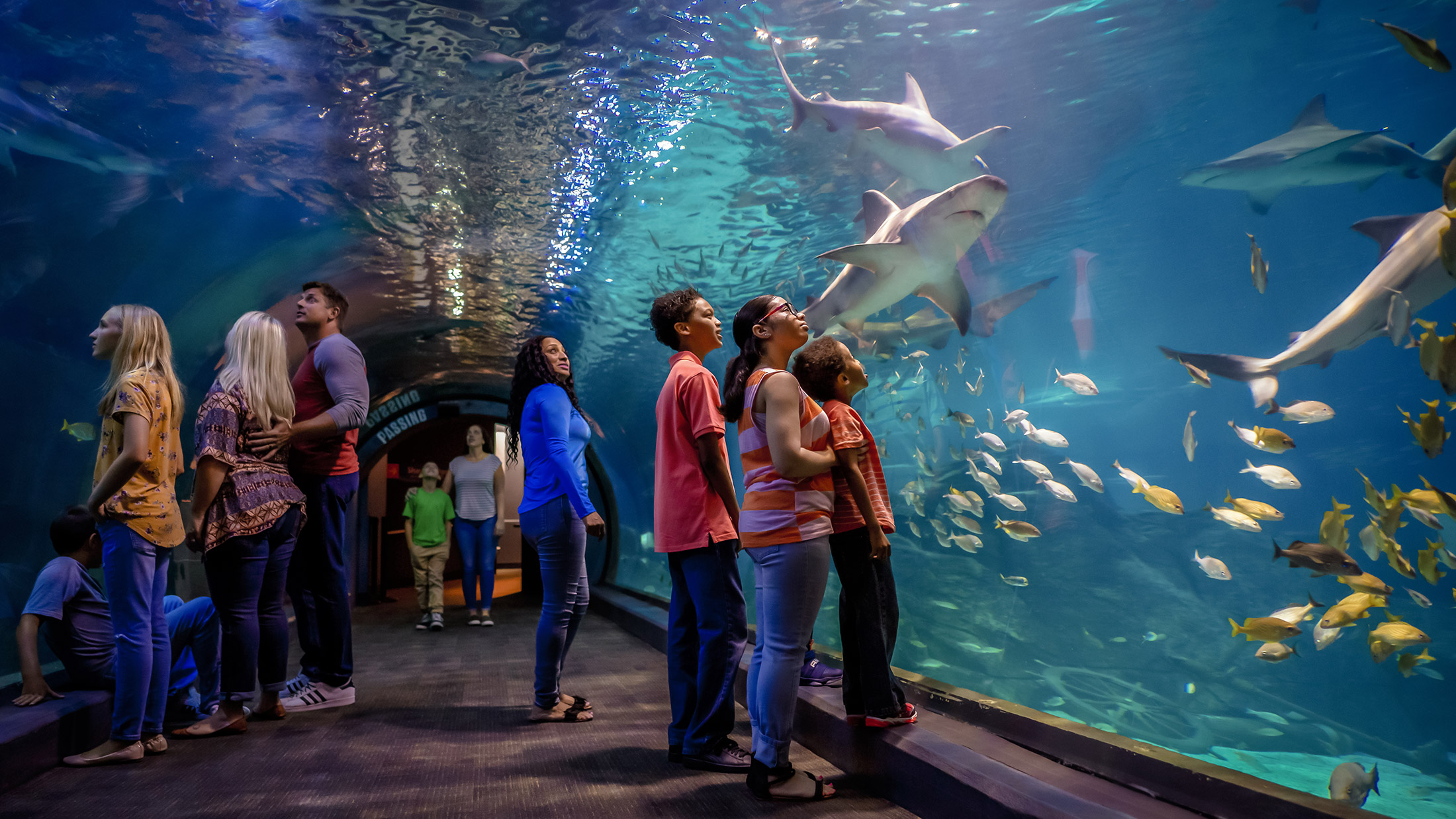 Aquarium