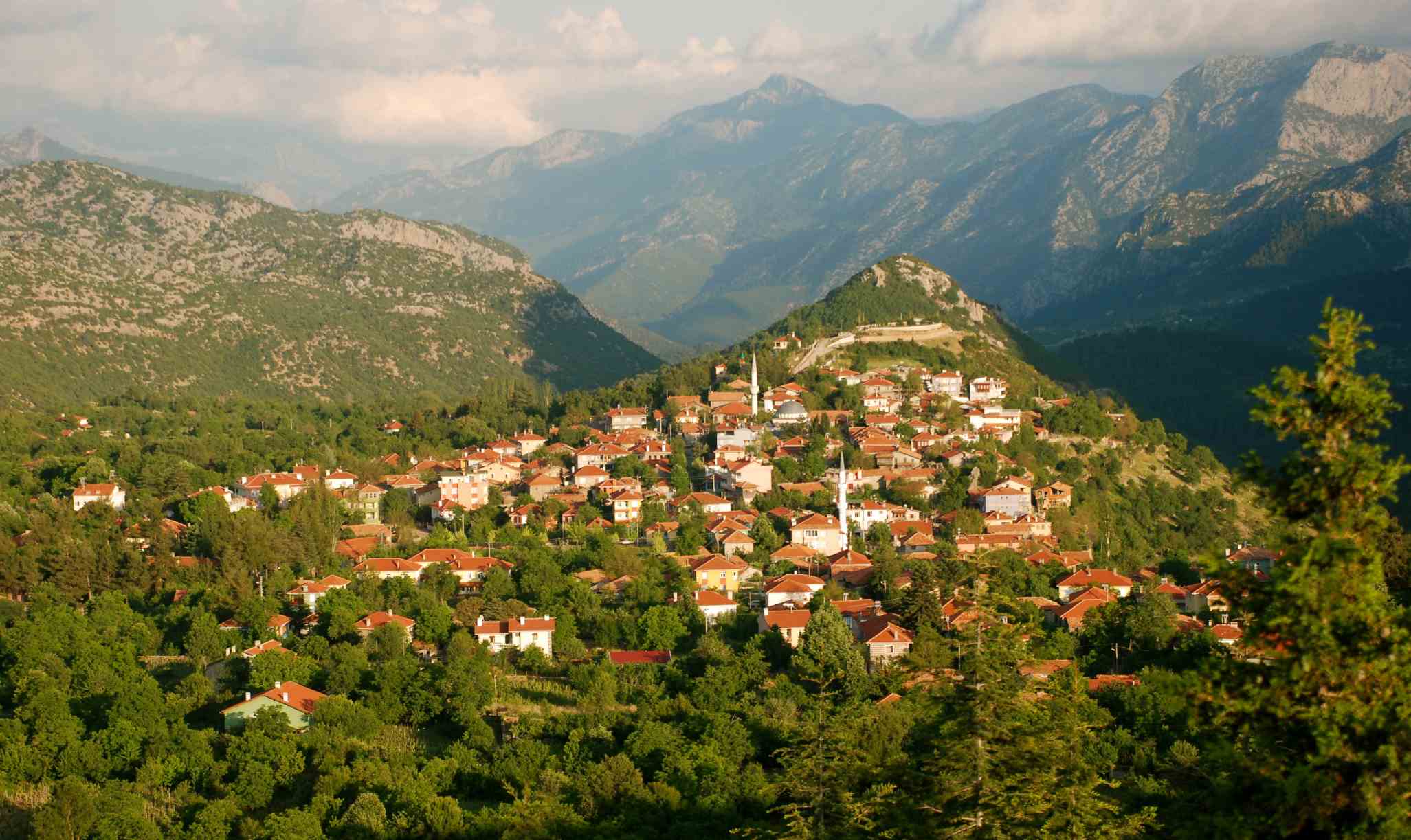 Ormana